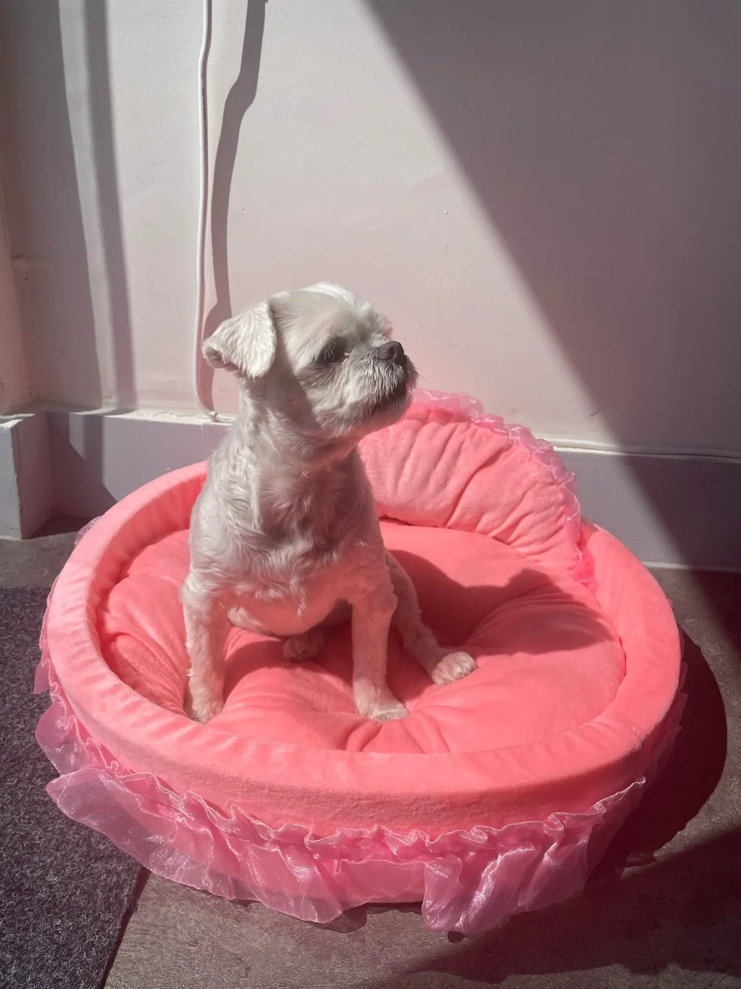 bow lace pet bed