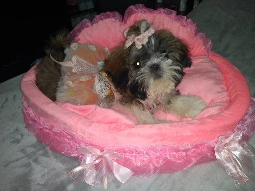 bow lace pet bed