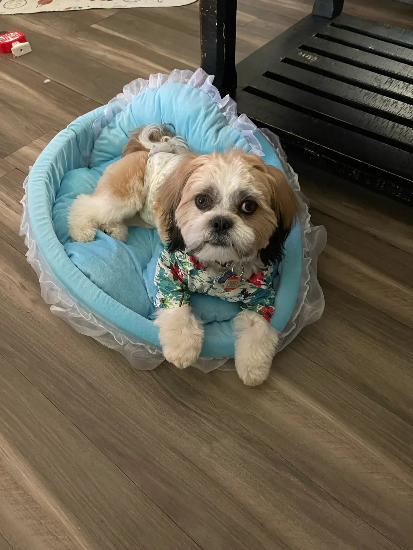bow lace pet bed