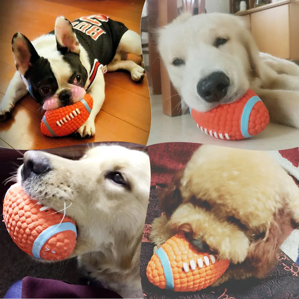 pet dog toy balls