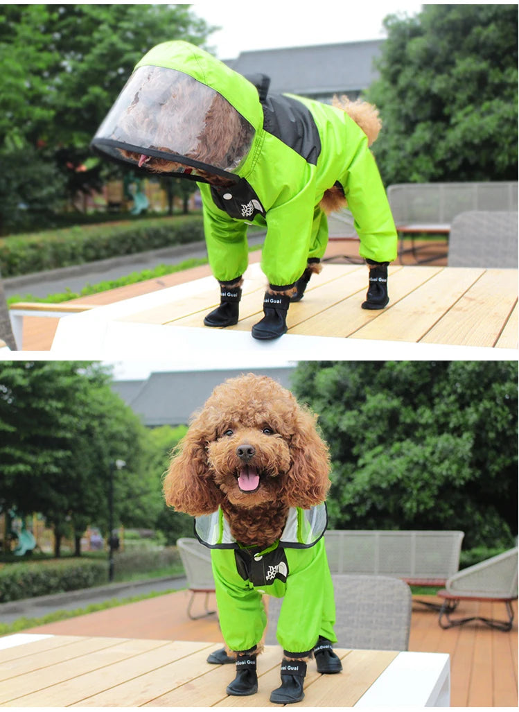 pet dog raincoat