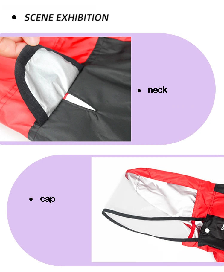 pet dog raincoat