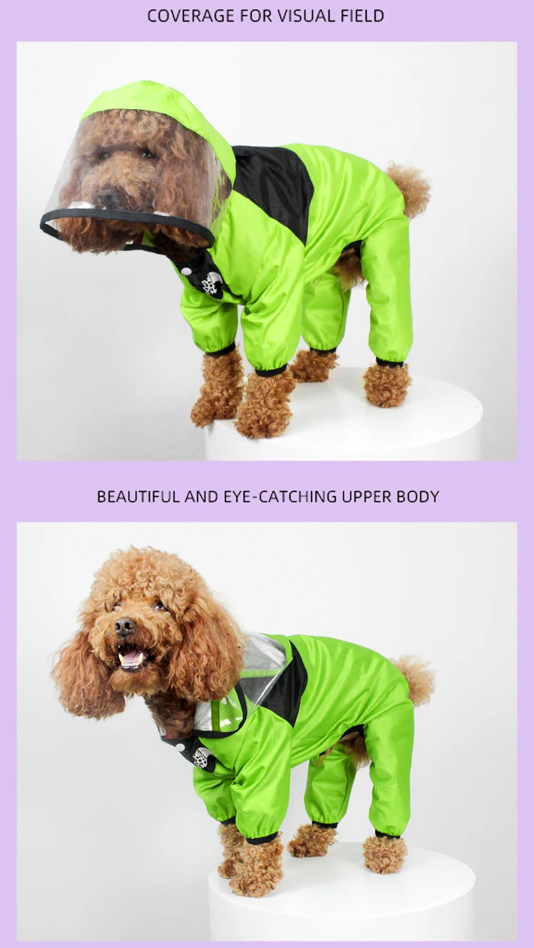 pet dog raincoat