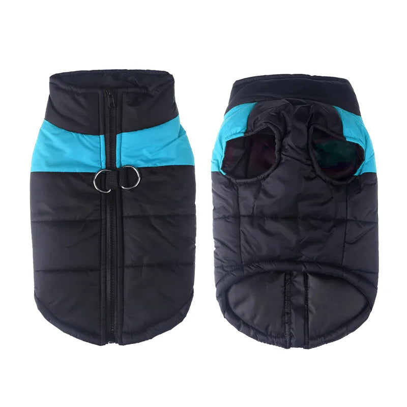 winter pet dog clothes