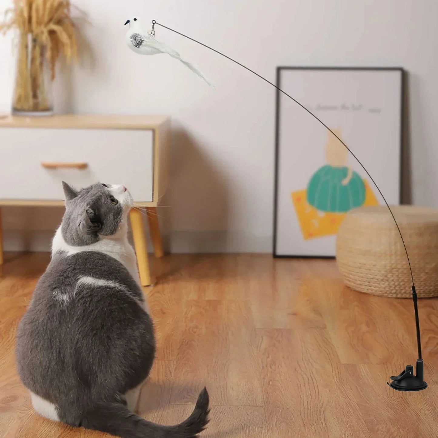 teaser toy for pets