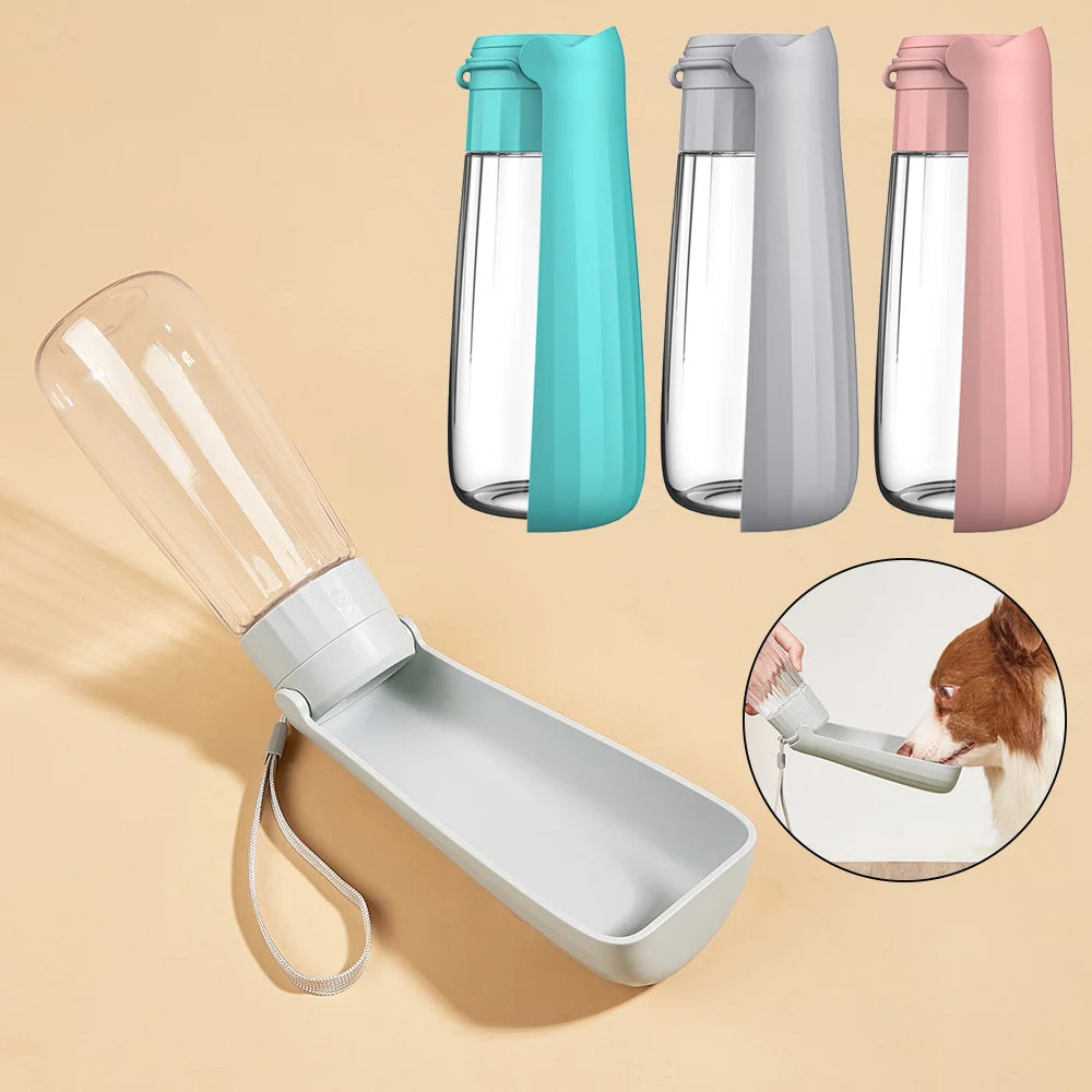 portable water bottle with food container