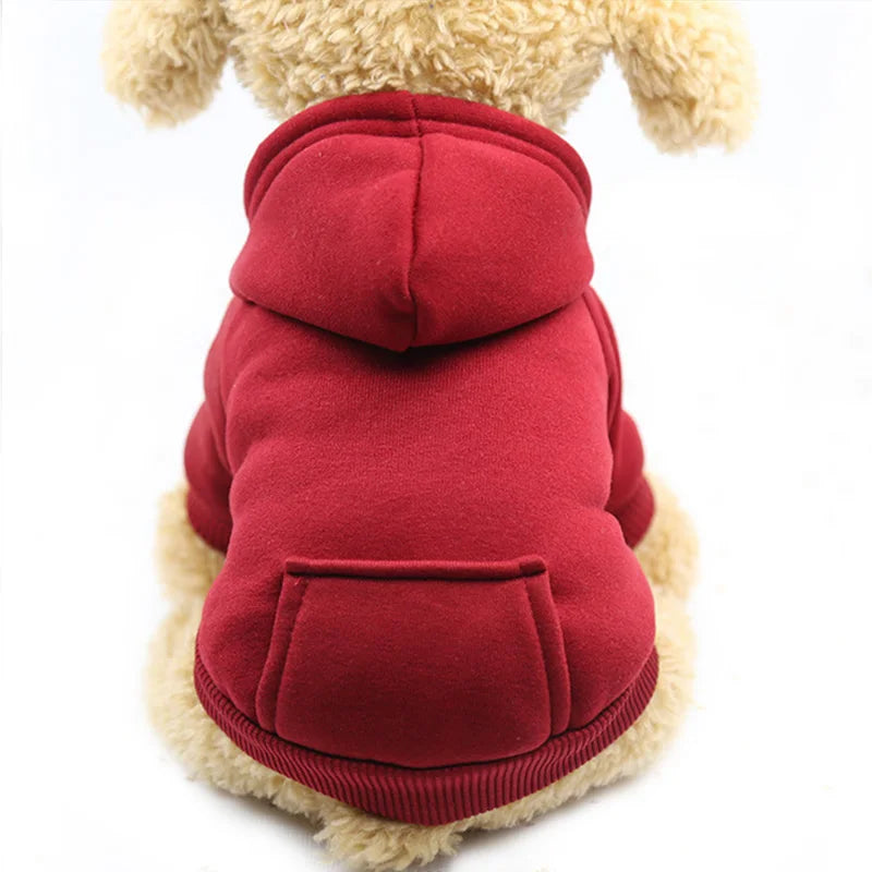 pet clothes for dogs