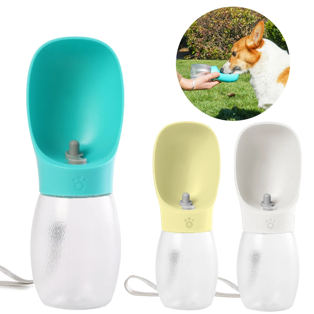 portable water bottle with food container
