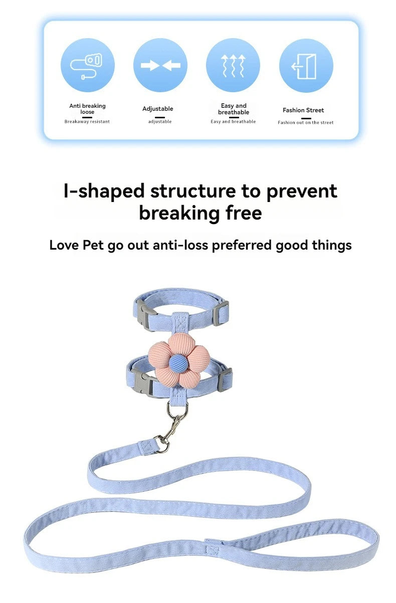 cat harness and leash sets