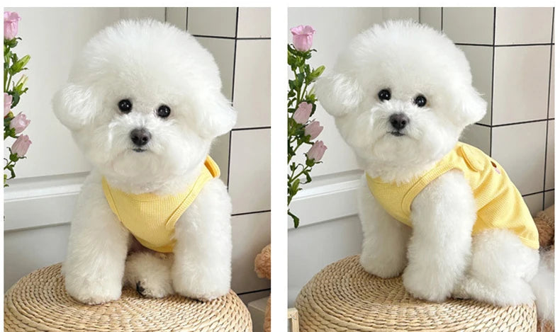 summer dog clothes for small dogs