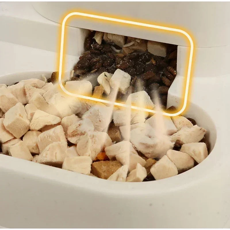 2-in-1 automatic pet feeder