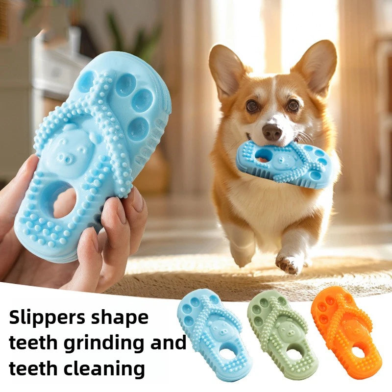 slippers shape teeth grinder