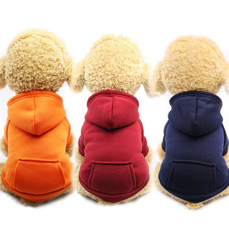 pet clothes for dogs