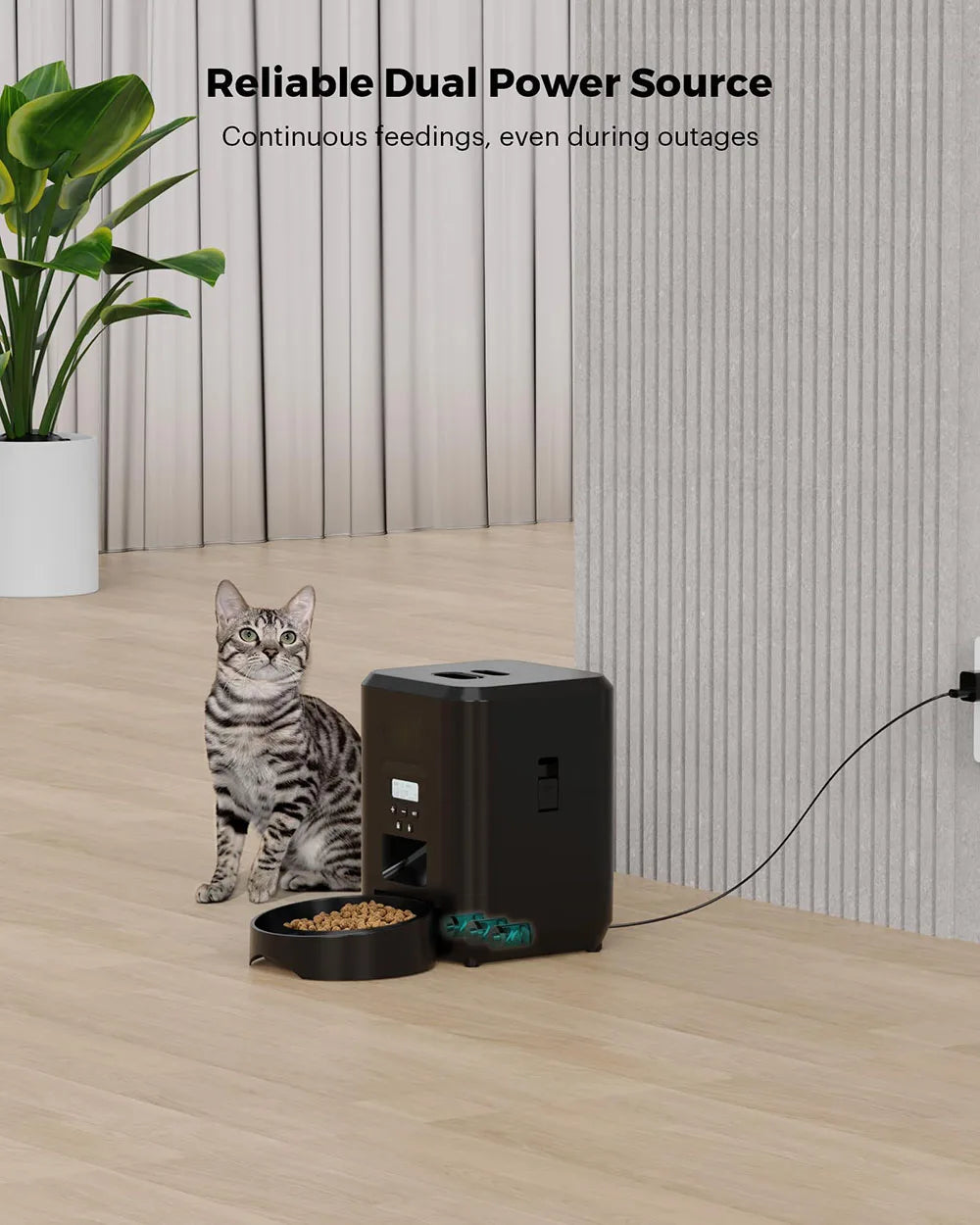 smart automatic pet feeder