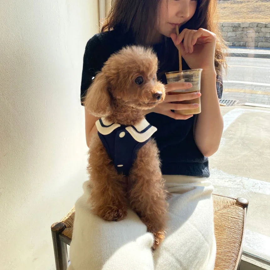 dog clothes pet cat fur-proof small vest clothing