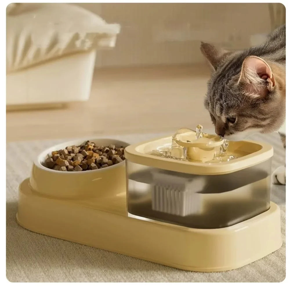 2 in 1 pet feeders with water fountain