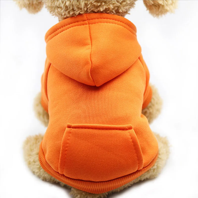 pet clothes for dogs