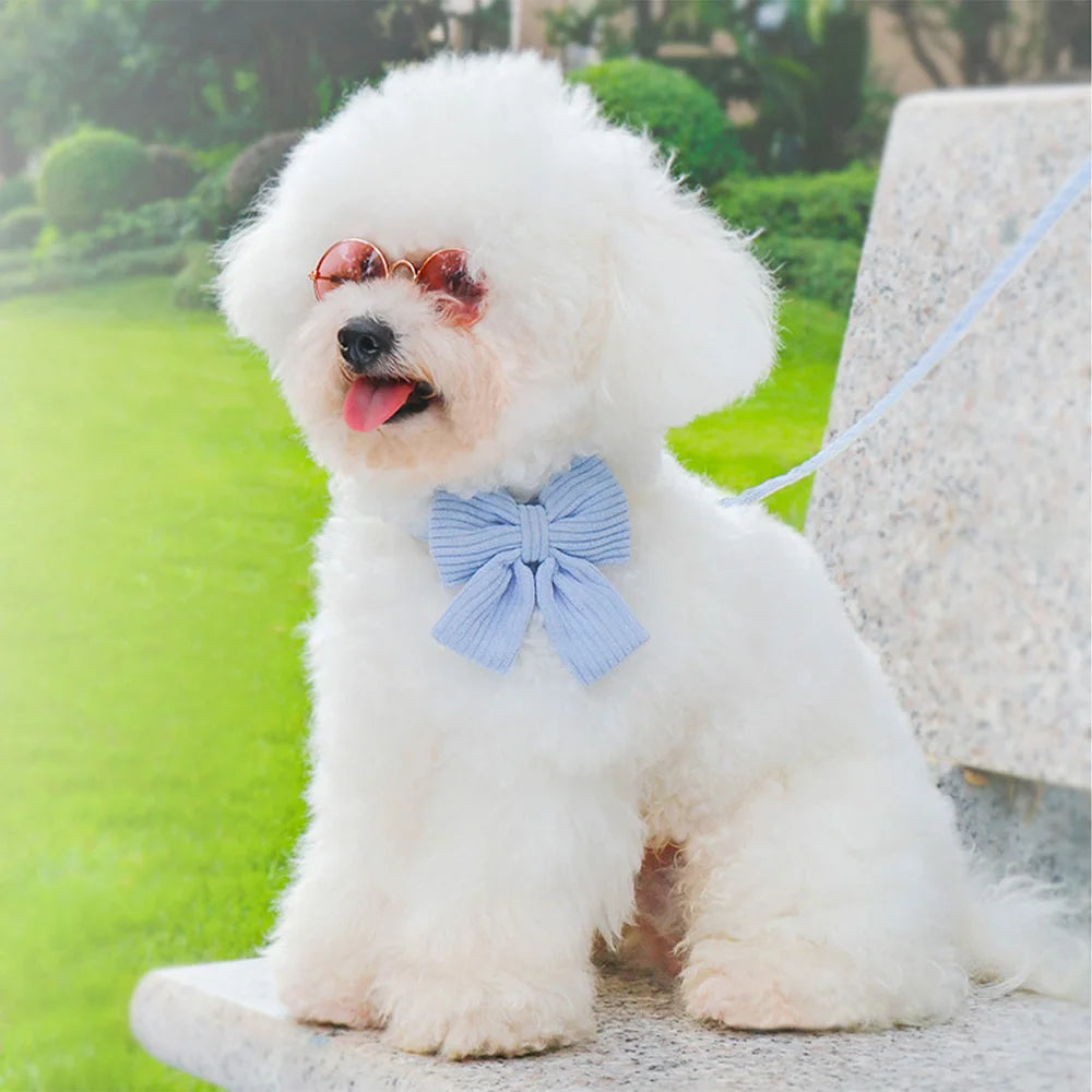 cute pink dog collar leash set with bowtie