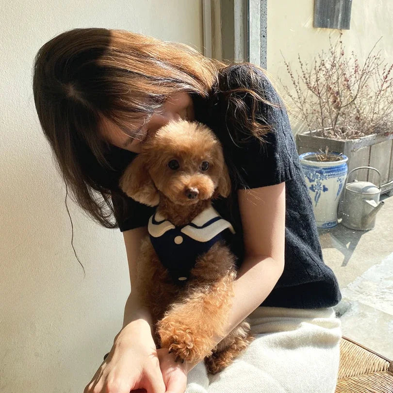 dog clothes pet cat fur-proof small vest clothing