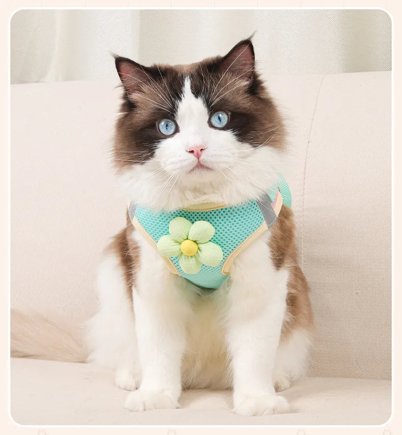 vest-style cat harness leash set