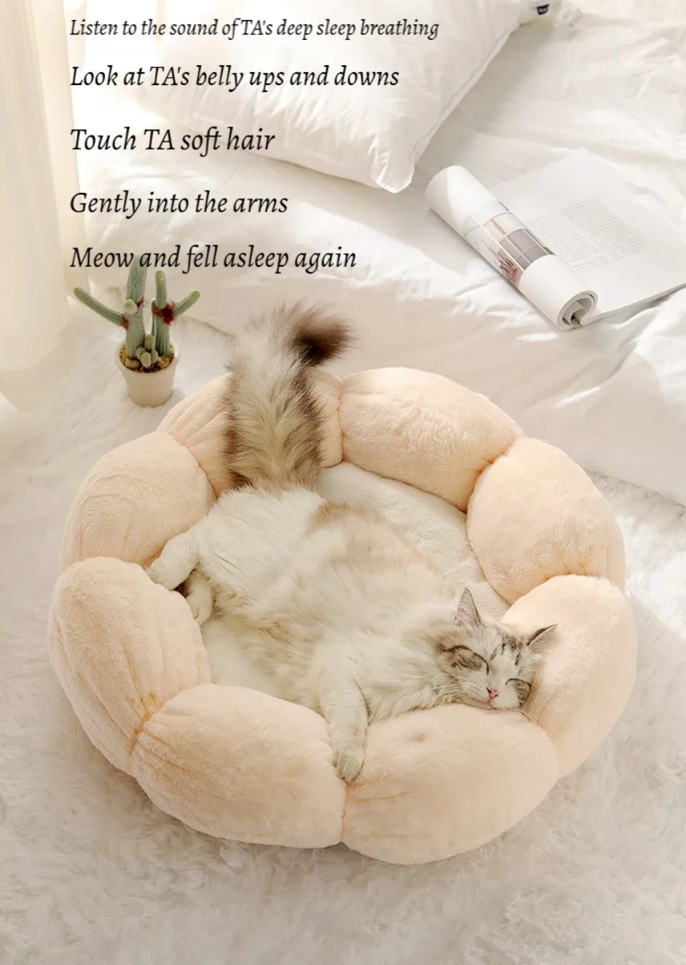 50cm round pet bed