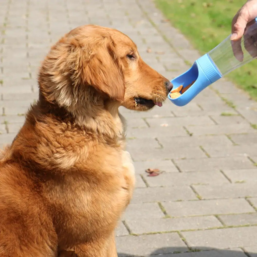 portable water bottle with food container