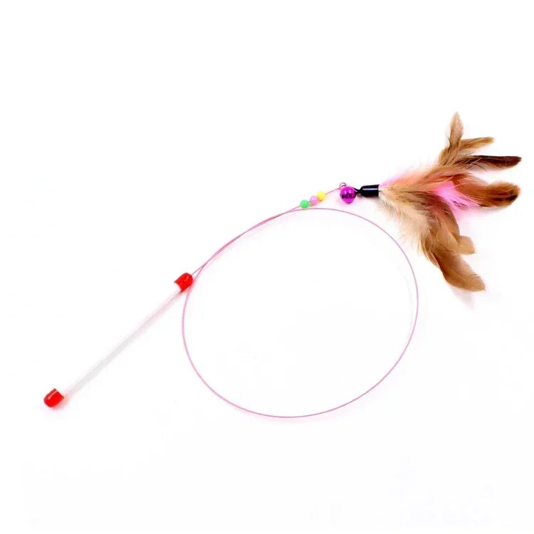 teaser toy for pets