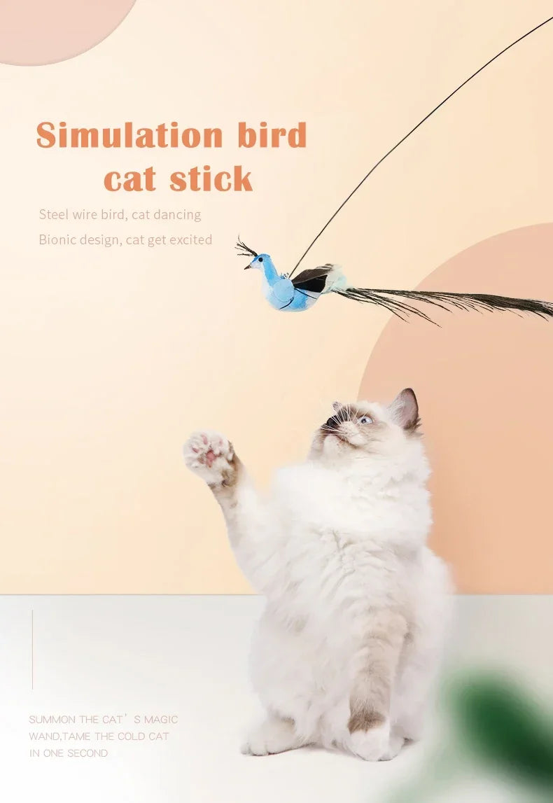 teaser toy for pets