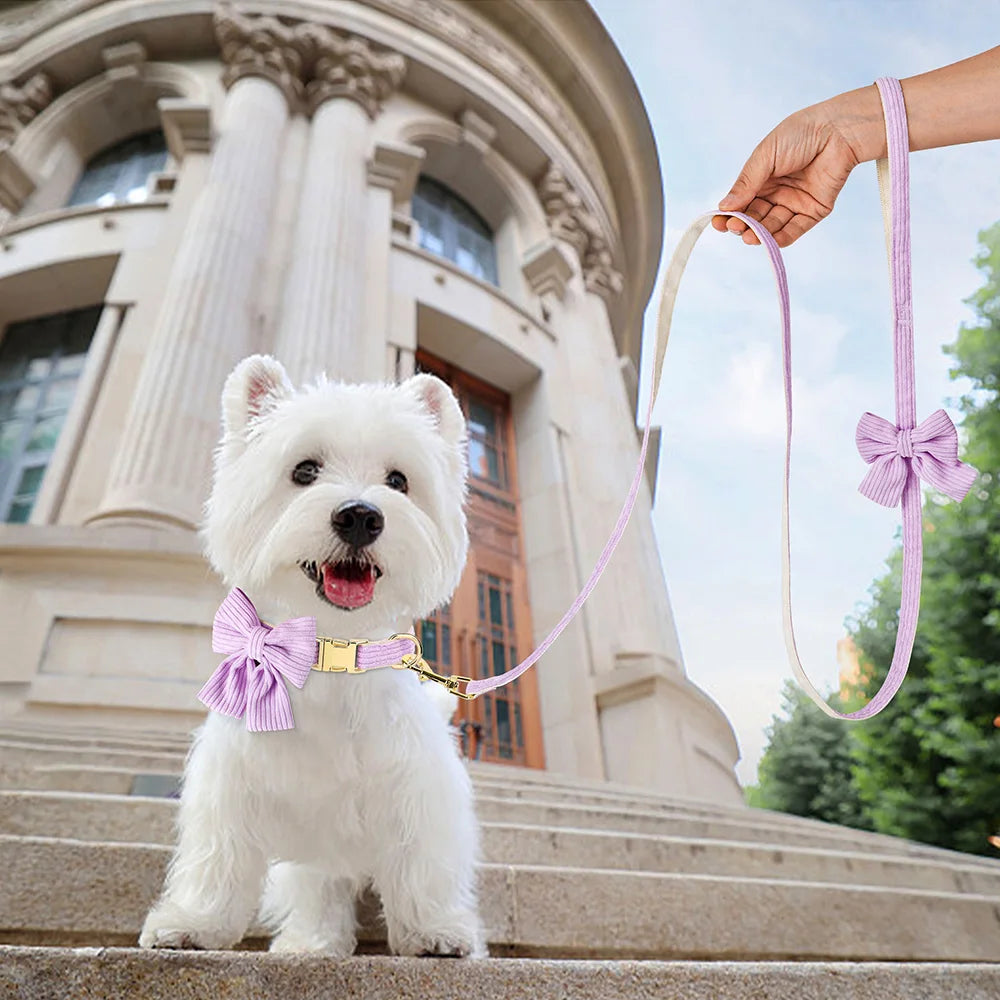 cute pink dog collar leash set with bowtie