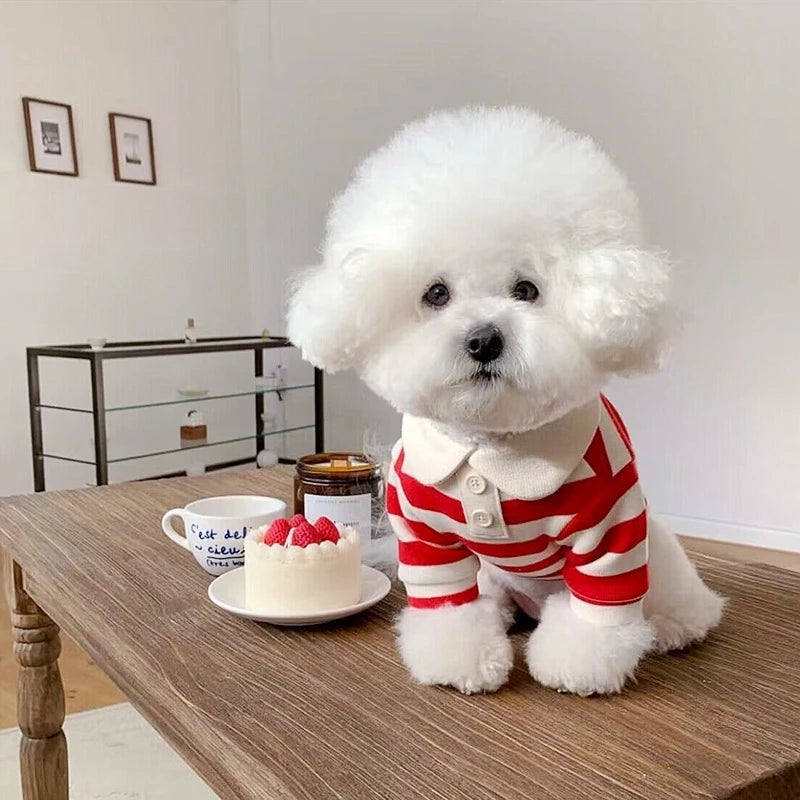 summer polo shirt for dogs