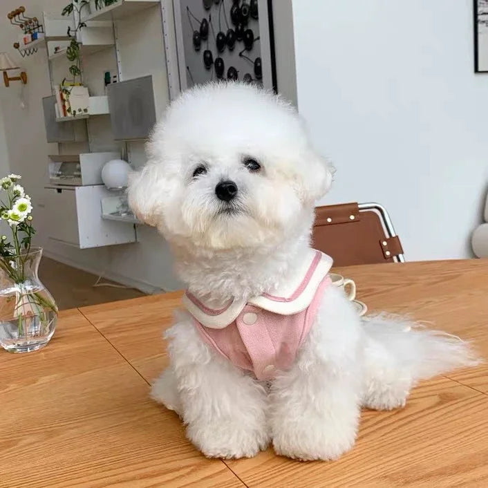 dog clothes pet cat fur-proof small vest clothing