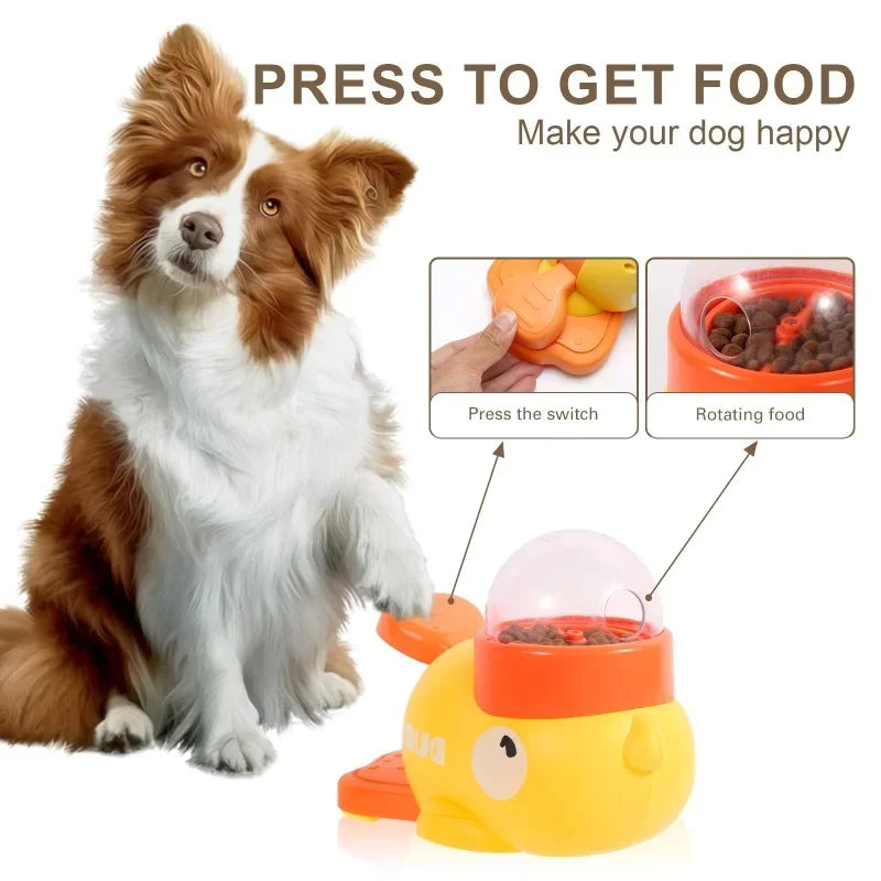 automatic dog feeder and toy