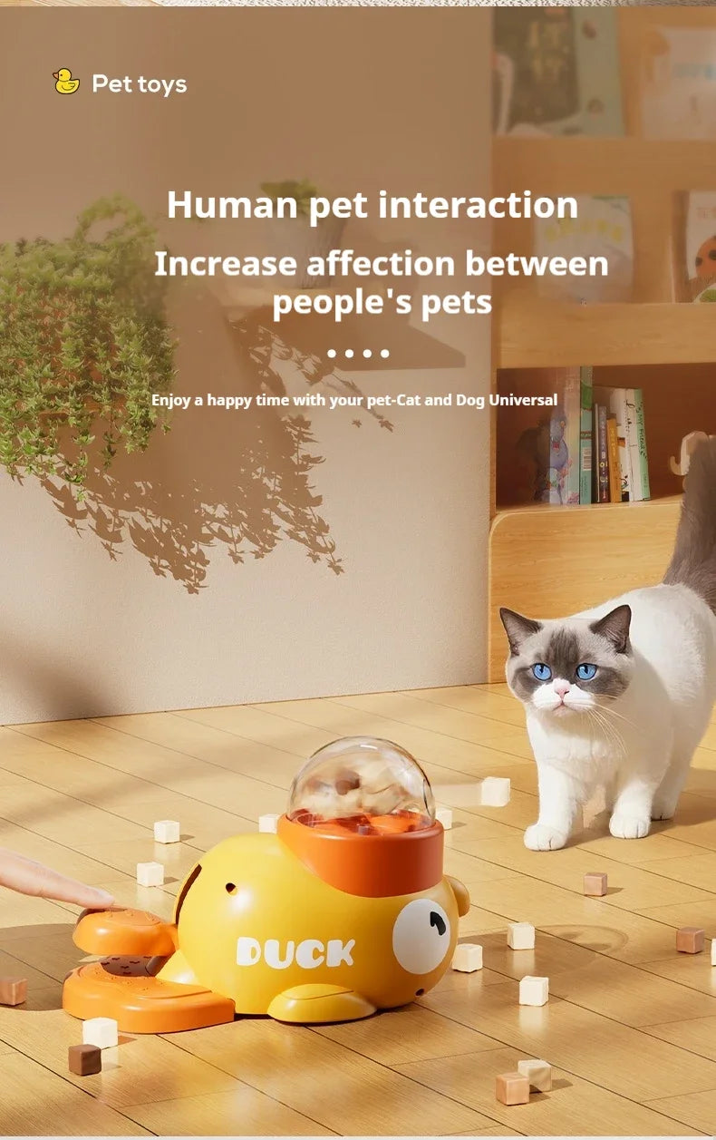 automatic dog feeder and toy
