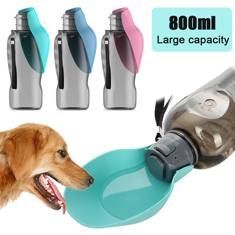 portable water bottle with food container