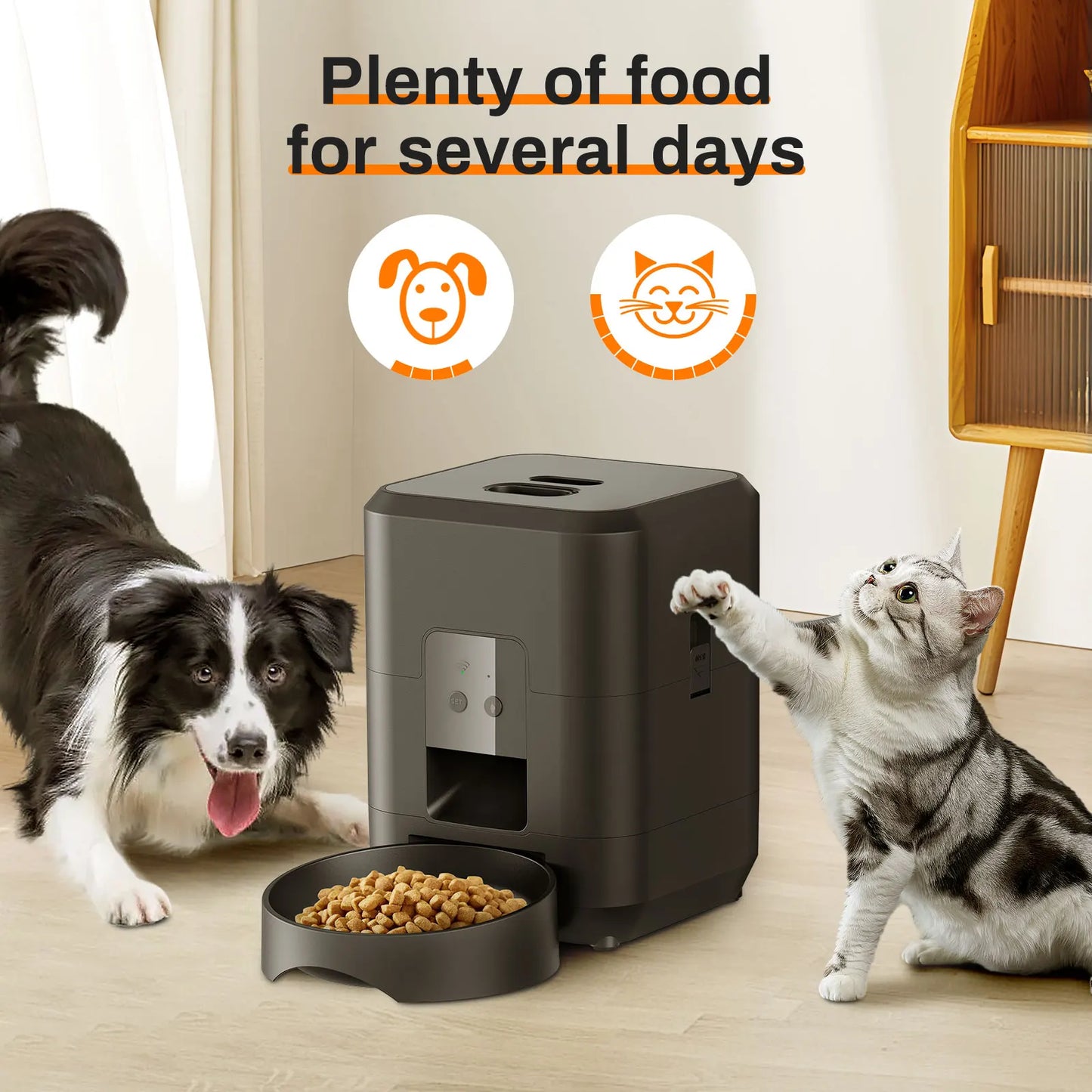 smart automatic pet feeder