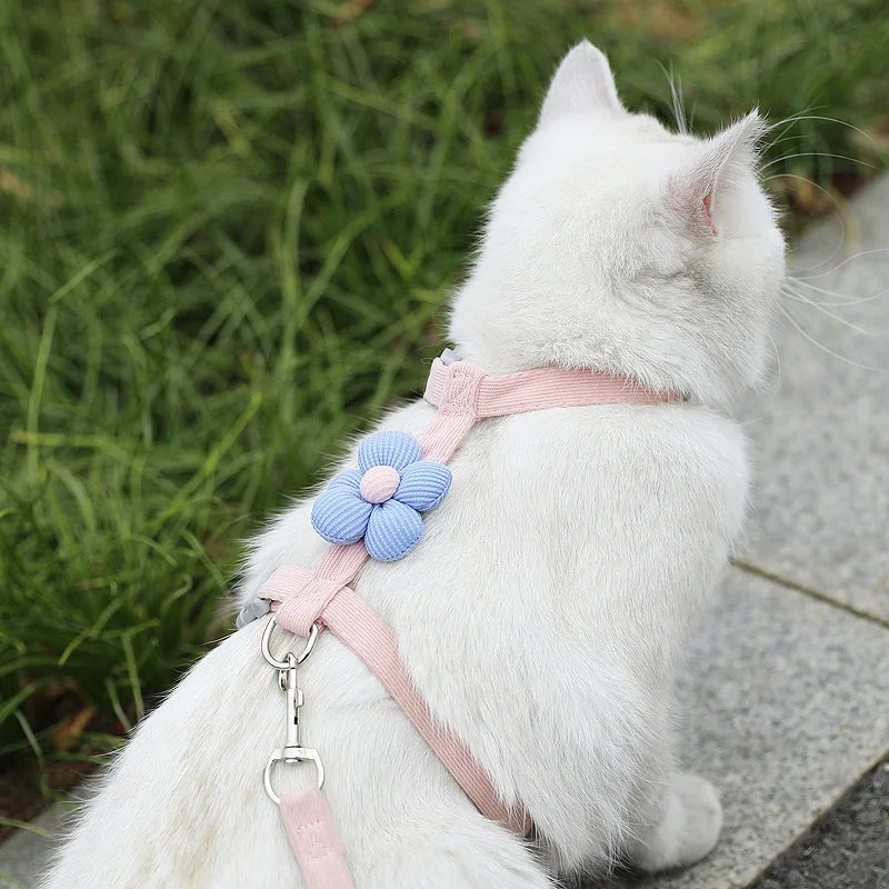cat harness and leash sets