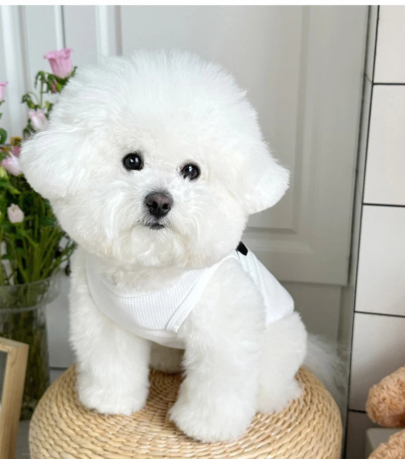 summer dog clothes for small dogs