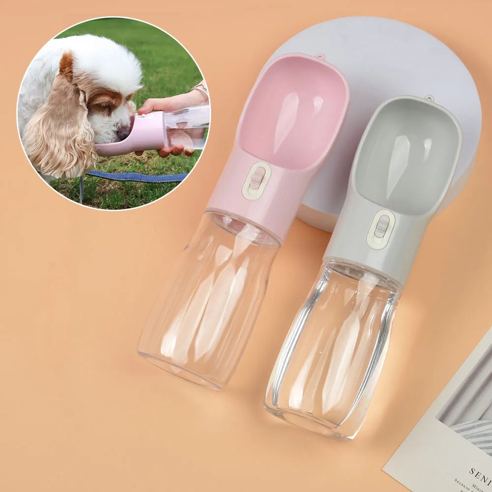 portable water bottle with food container