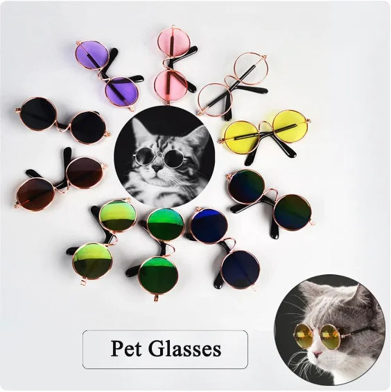 sunglasses for pets