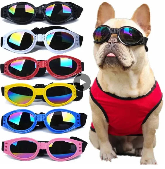 sunglasses for pets