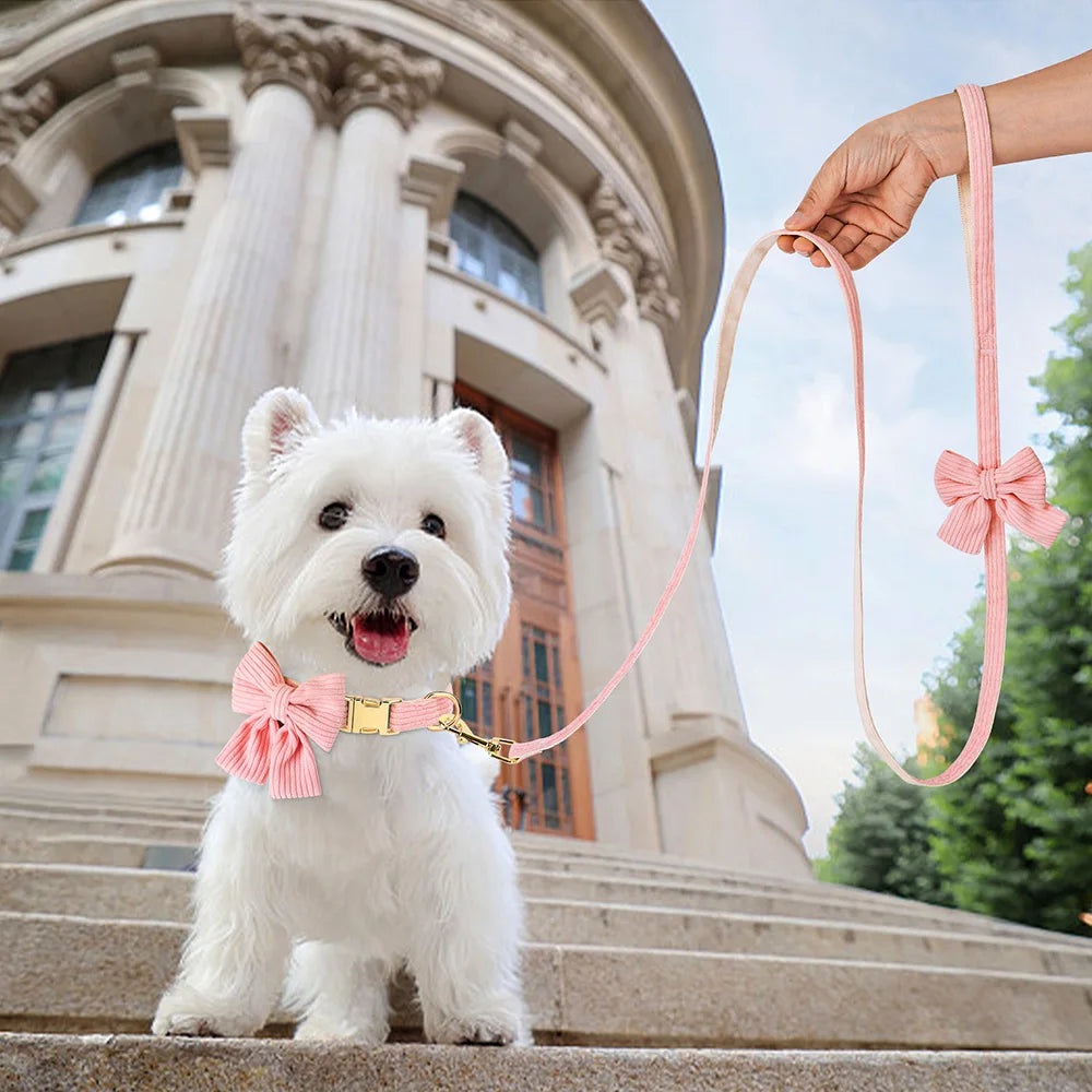 cute pink dog collar leash set with bowtie