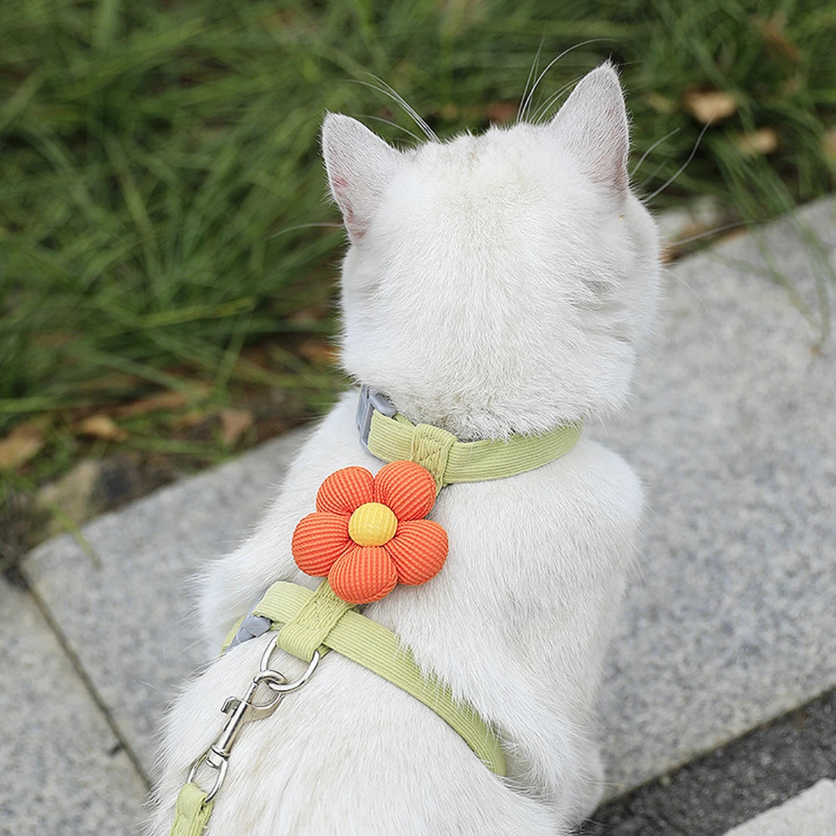 cat harness and leash sets