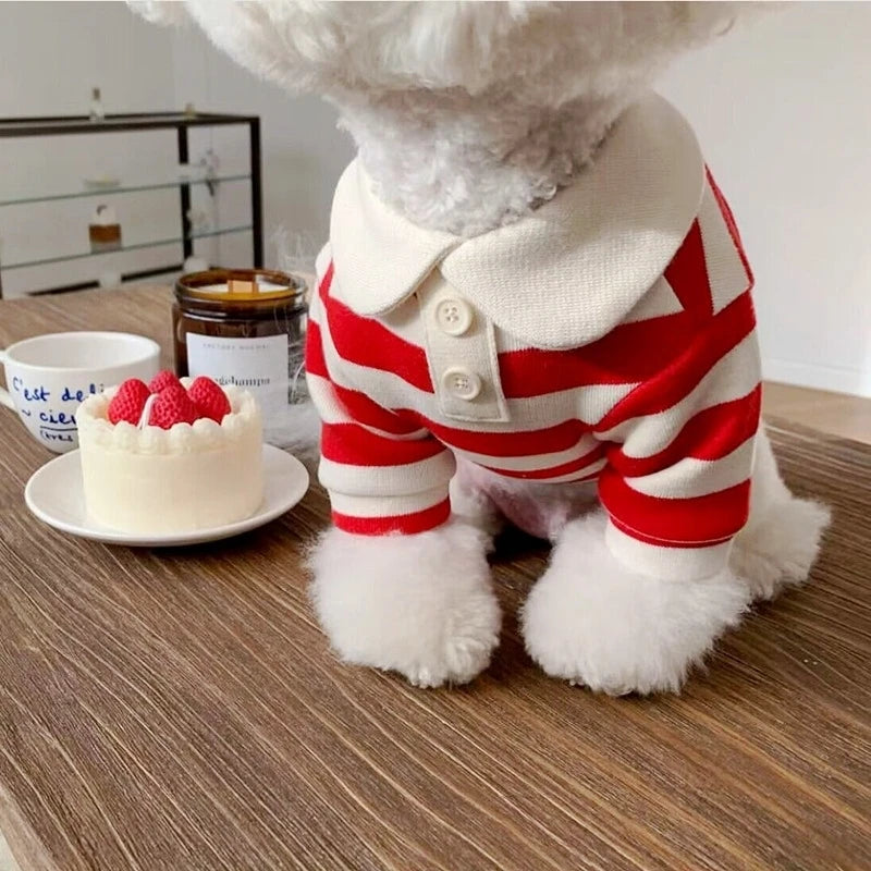 summer polo shirt for dogs