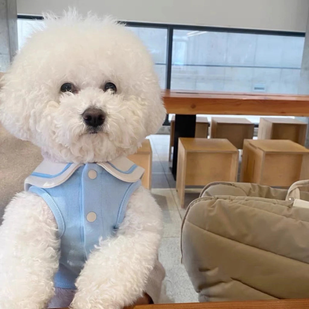 dog clothes pet cat fur-proof small vest clothing
