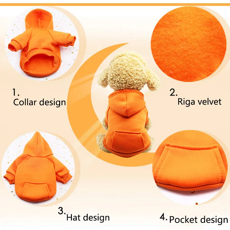 pet clothes for dogs