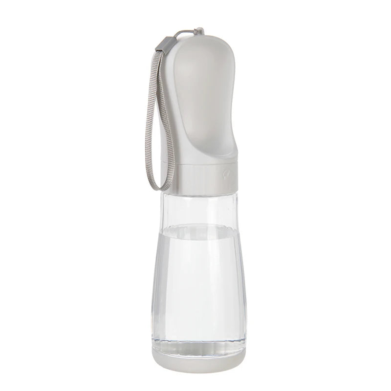 portable water bottle with food container