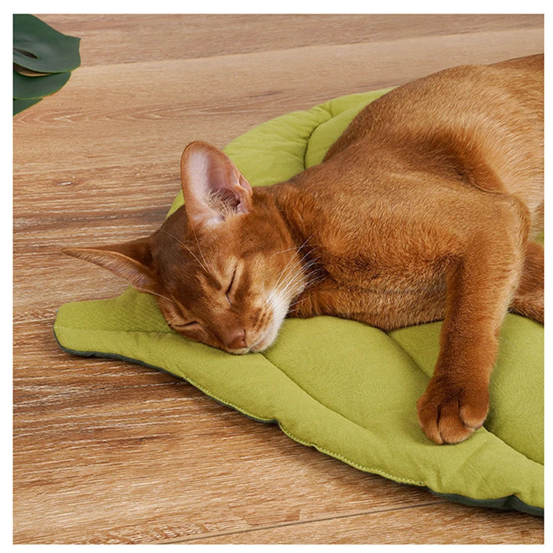 leaf shaped plush mat for pets