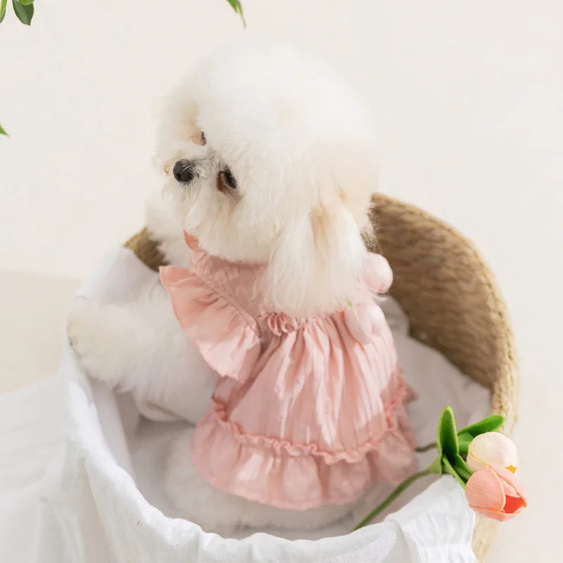 dog cat tulip pleated dress