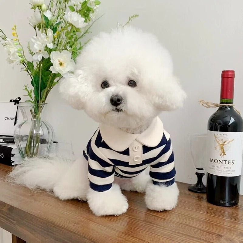 summer polo shirt for dogs