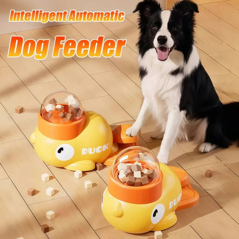 automatic dog feeder and toy